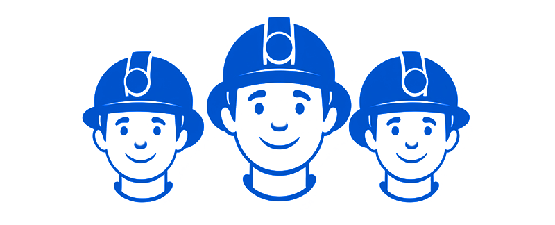 Brigadistas